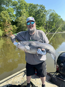 Catfish Fishing fun on the James River!